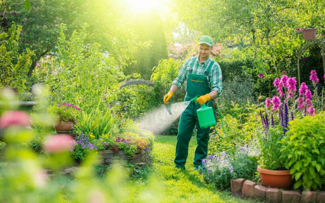 Dosage-bouillie-bordelaise-pour-5-litres-recette