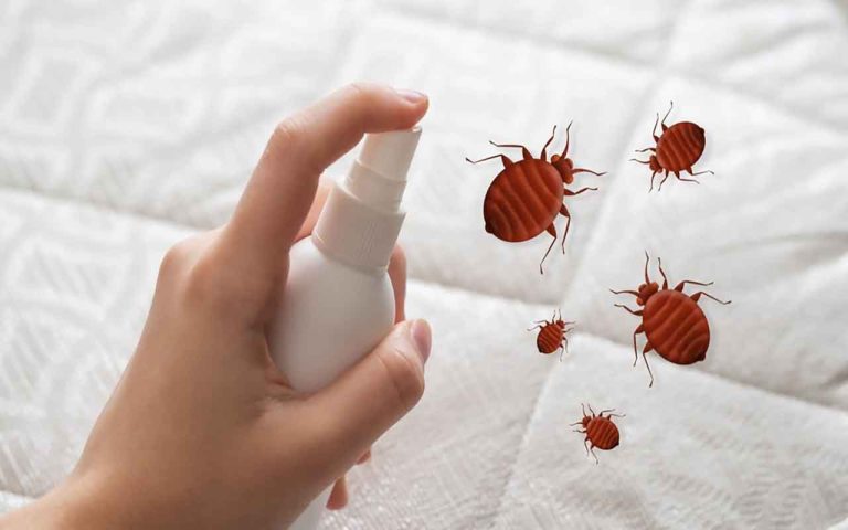 Mites-de-poussière