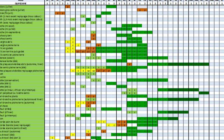 tableau-legume-jardin